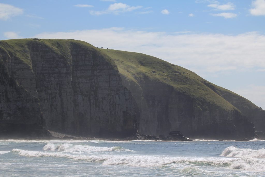 Surfing-Coffee-Bay