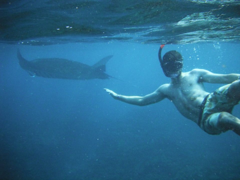 swim-the-stingrays-on-your-gap-year